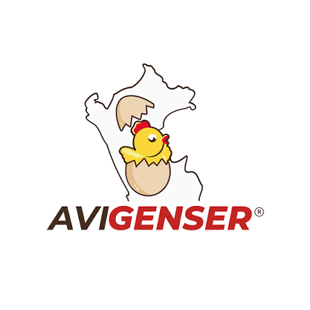 Avigenser